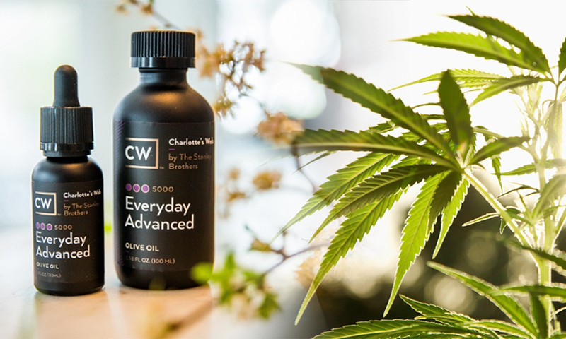 Olejki CBD