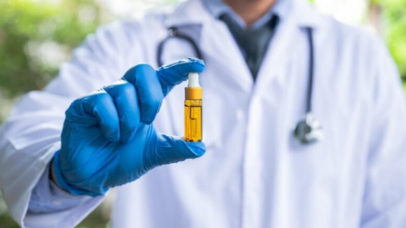 Olejki CBD a epilepsja i lekooporna padaczka