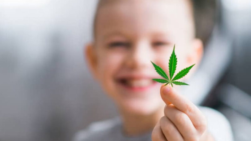 Olejki CBD a epilepsja i lekooporna padaczka