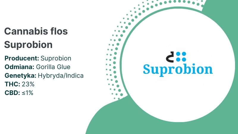 Gorilla-Glue-Suprobion